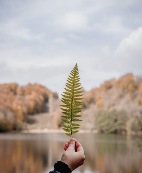 Inspiration artistique en pleine nature