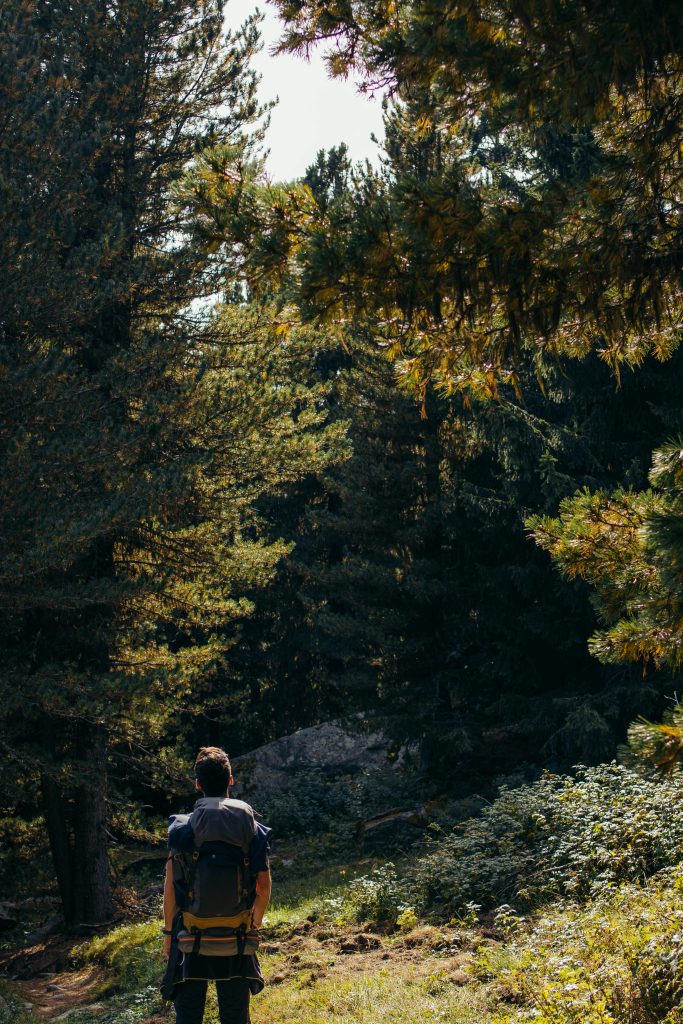 Randonneur dans la foret