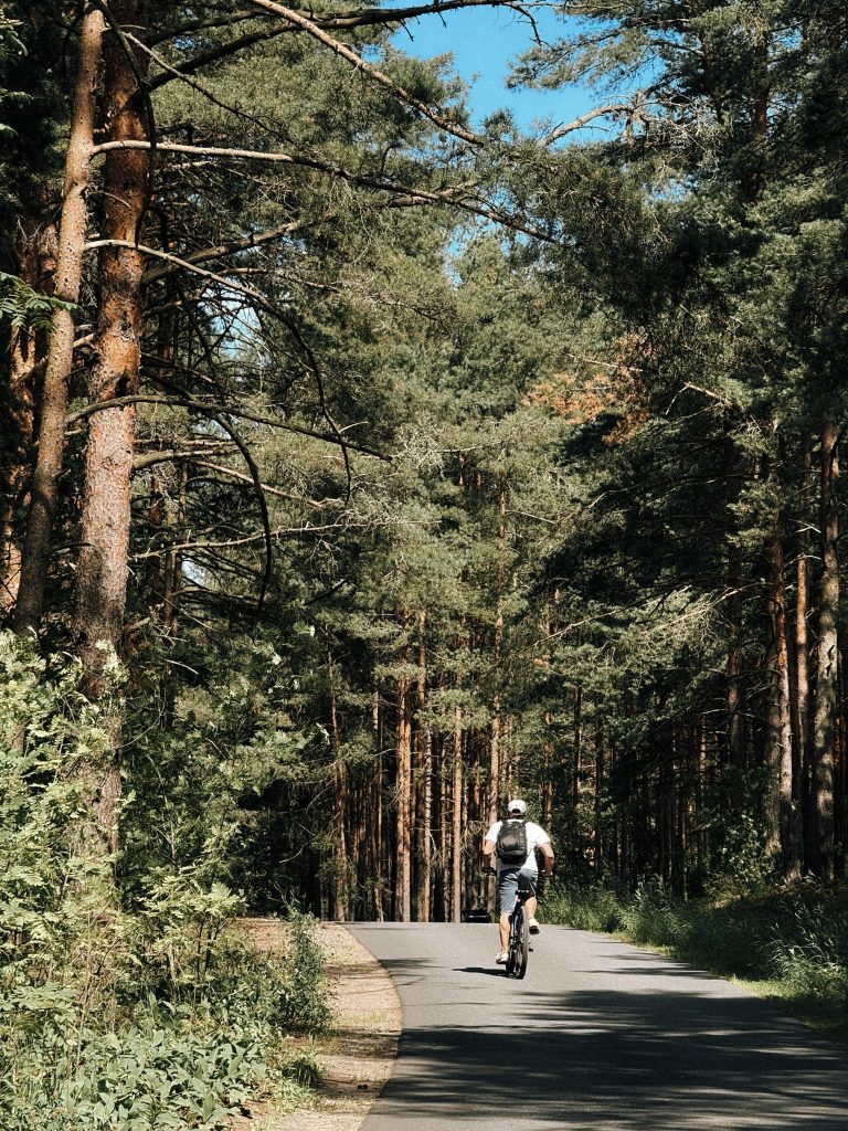 Un vélo en pleine foret d