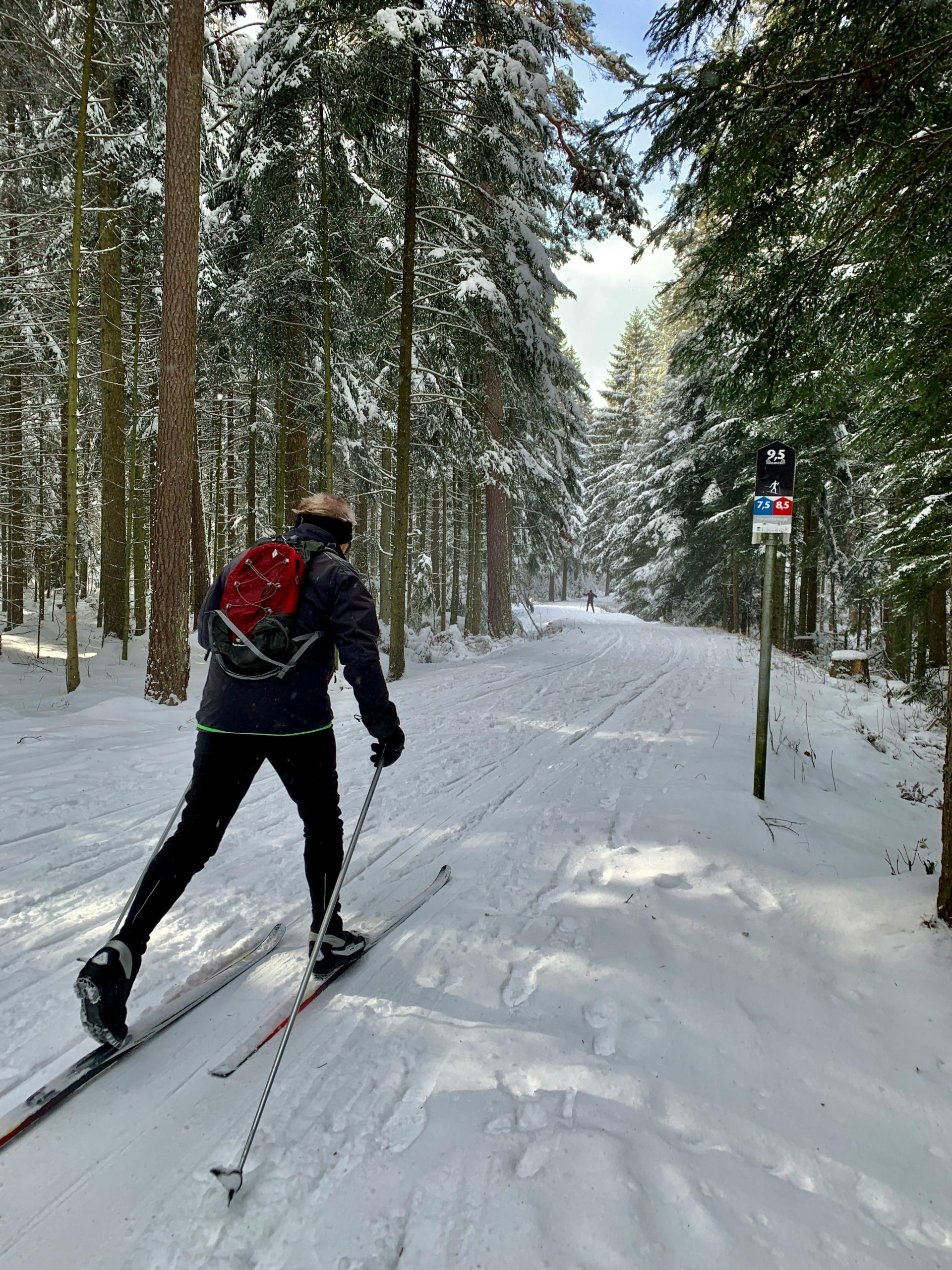 Autour du Clos Ski de fond en forêt