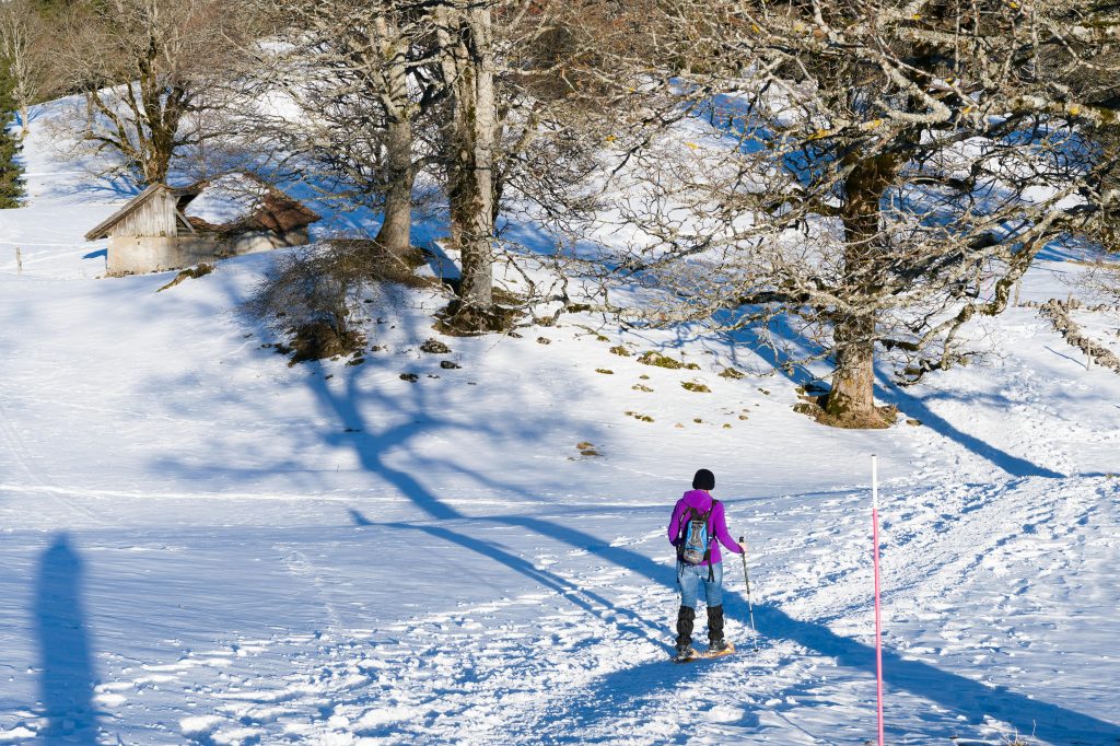 Ski & Activités d'Hiver Une personne qui fait du ski de fond
