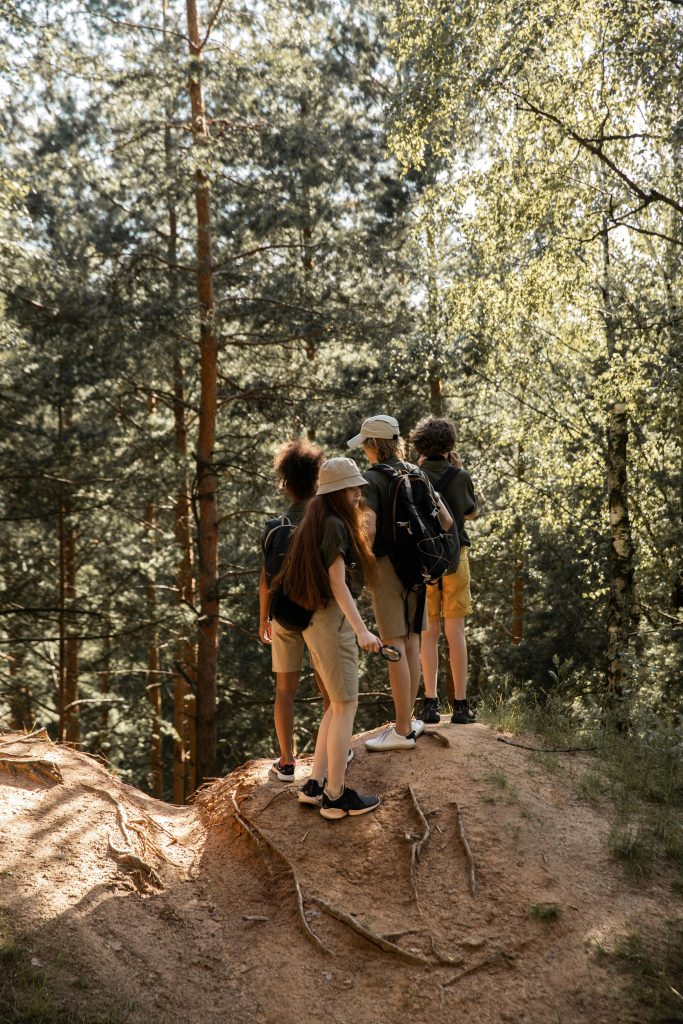A group of teenagers hiking through a sunlit forest, embracing nature and adventure.